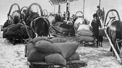 Зерно — фронту. Продразвёрстка в России. Столетний юбилей