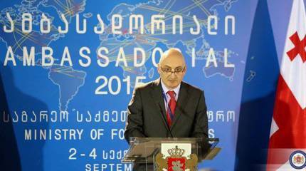 Чиновник грузинского МИД выразил недовольство тем, что в мире забывают о "проблемах с территориальной целостностью Грузии"