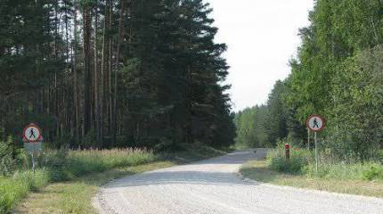 Эстонии захотелось получить кусок России