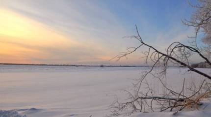 В СМИ США заявили о высокой миграционной привлекательности Сибири в будущем