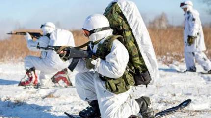 Как служат арктические стрелки