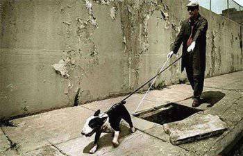 «Сталося не так, як гадалося…»