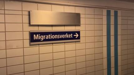 SVT: Лишь 5 процентов украинских беженцев смогли трудоустроиться в Швеции