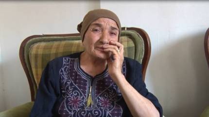 В мире животных: вооружённые обезьяны в Сирии убивают сами себя