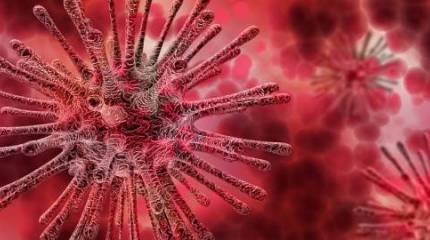 Кому выгодна антипрививочная лихорадка в России