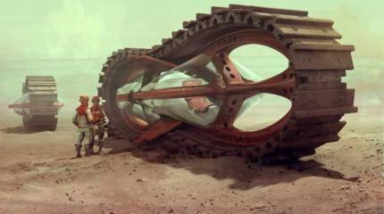 На пыльных тропинках оставим детские следы!