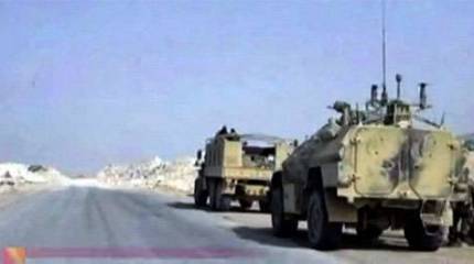 "Дозор" под Пальмирой?