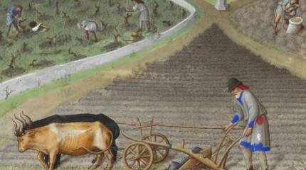 Рыцари на кухне. Часть 2