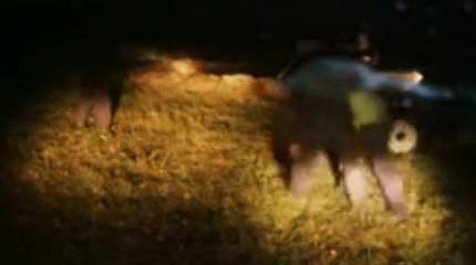 В Youtube появился ролик казни людей украинскими карателями