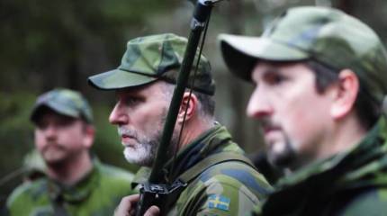 Чёрная метка для демократии: правительство Швеции без референдума решит вопрос о вступлении в НАТО