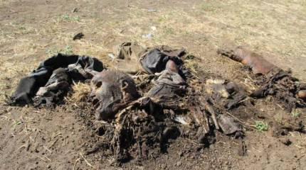 Позывной «Сахалин». Меня спросили, чего я хочу перед смертью