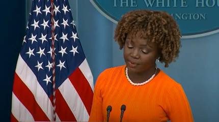 Книга Жан-Пьер: Демпартия в 2024 провела «расстрельную» кампанию против Байдена