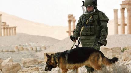 Ни шагу наугад