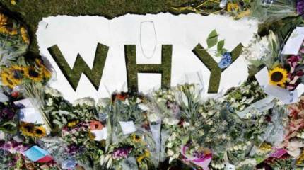 Немецкое детективное агентство обещает многомиллионную награду за раскрытие причин крушения «Боинга»