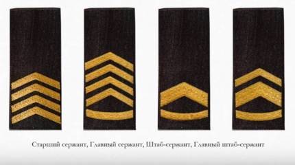 В ВСУ скоро появятся рекруты и солдаты, а также много разных сержантов