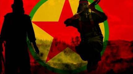 США продолжают поставки оружия курдам после заявлений Трампа об их прекращении (ActivistPost, США)