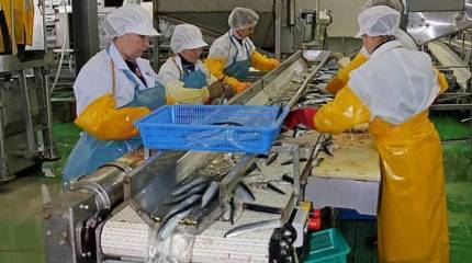 В парламенте предложили вернуть прежний пенсионный возраст для Дальнего Востока