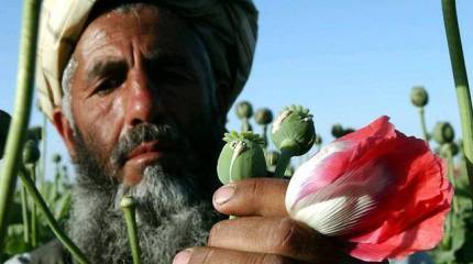 Киргизский плацдарм для одурманивания России