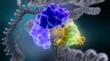 «Украинство» как мутация