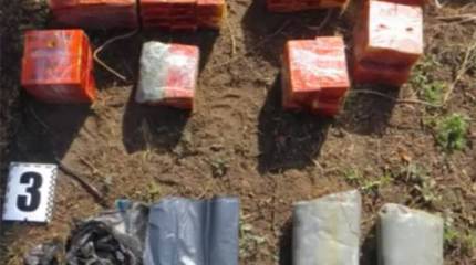 О событиях в Крыму, или Что делать с киевской бешеной собакой?