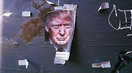 Проект «ЗЗ». Мачо против мачо