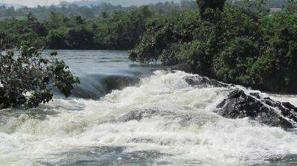 Стояние на Ниле. В Африке начинается борьба за водные ресурсы
