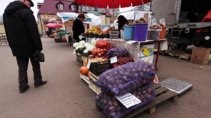 Кормить страну нечем, импортозамещение провалено