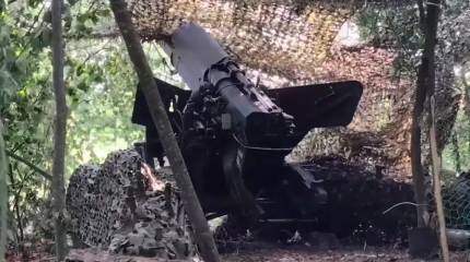 Российские войска заняли большую часть Серебрянского лесничества