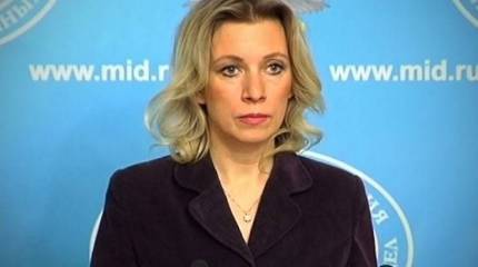 Захарова объяснила премьеру Нидерландов, что следует считать «абсурдом» в ситуации с «Боингом»