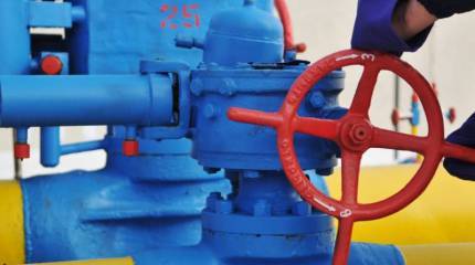 «Чёрный лебедь» полетел?