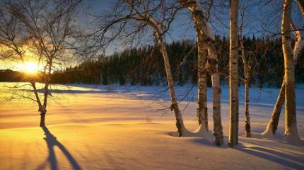 Черно-белое патриотическое мышление и будущее