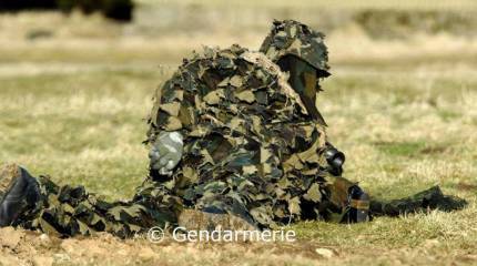 ST6: антитеррористическая команда