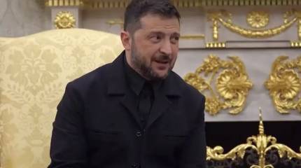 11 «спасибо» за 5 минут: Помнящий о скандале Зеленский на переговорах благодарил Трампа за всё подряд