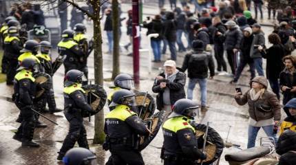 Плетеные щиты против митингующих