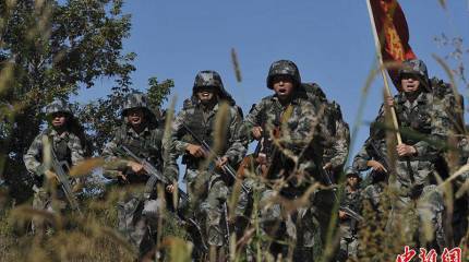 Между китайским львом и НАТОвским крокодилом