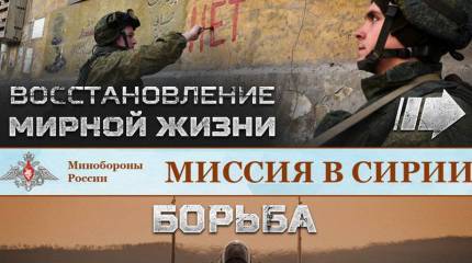 Минобороны открыло новый раздел, посвященный ВС России в Сирии