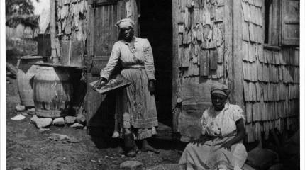 Датская колониальная империя в Старом и Новом свете и ее защитники