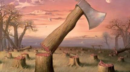 Темные пятна в украино-грузинской «оружейной истории»