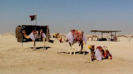 Щит и меч малой сверхдержавы