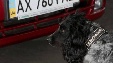 Источник: в РФ заброшена группа диверсантов из Украины