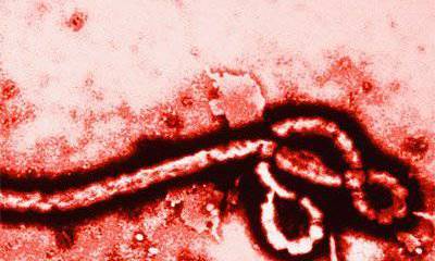 Оружие «гуманной» войны