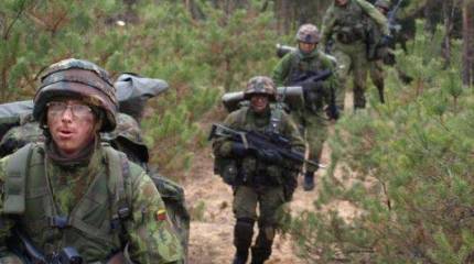 В Литве заговорили о возможности создания штрафных батальонов