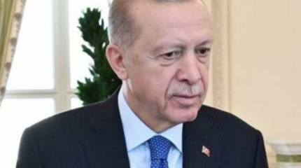 Президент Турции назвал бесчеловечными призывы Израиля к палестинцам покинуть север сектора Газа