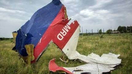 Киев опровергает выводы немецкой разведки о том, кто виновен в крушении "Боинга-777" под Донецком