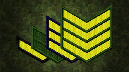 Годички и другие изменения на ВО