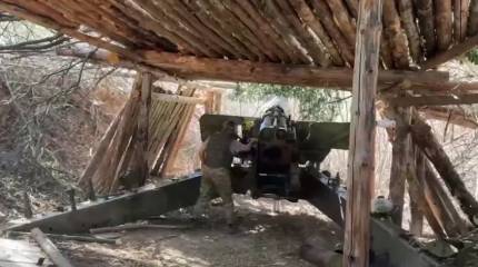 Армия России освободила Старую Николаевку и преследует отступающие из Зари остатки сил противника