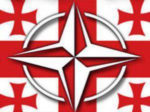 НАТО хочет взять Грузию «дружить против России»