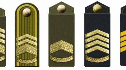 Зеленский подписал указ, вводящий новое воинское звание для рядового состава ВСУ