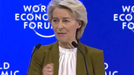 «Идиотские ошибки»: Дмитриев оценил решения фон дер Ляйен в сфере энергетики