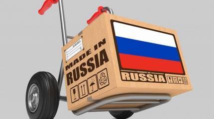 Импортозамещение в кризис: отменить и обнулить?